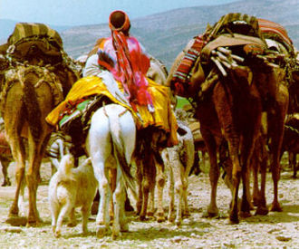 Dåtidens nomader på åsnor och kameler.